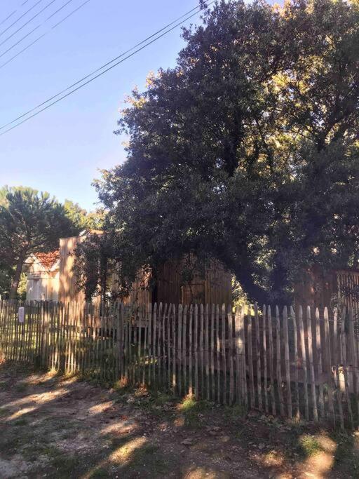 Ma Cabane Sous Les Arbres Soulac-sur-Mer Εξωτερικό φωτογραφία