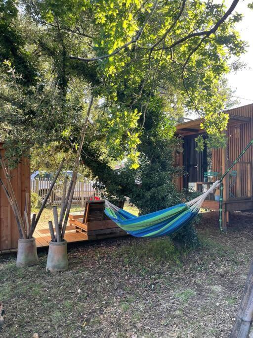 Ma Cabane Sous Les Arbres Soulac-sur-Mer Εξωτερικό φωτογραφία
